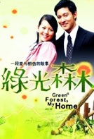 绿光森林